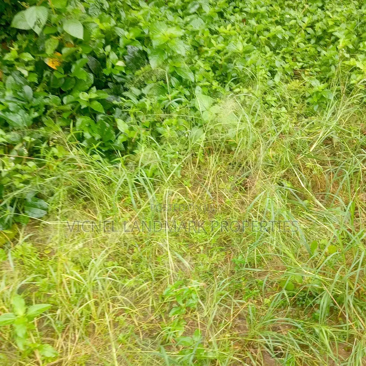 Apex Estates 2, Elikpokwodu/ Rukpokwu, Portharcourt Rivers State in Obio-Akpor