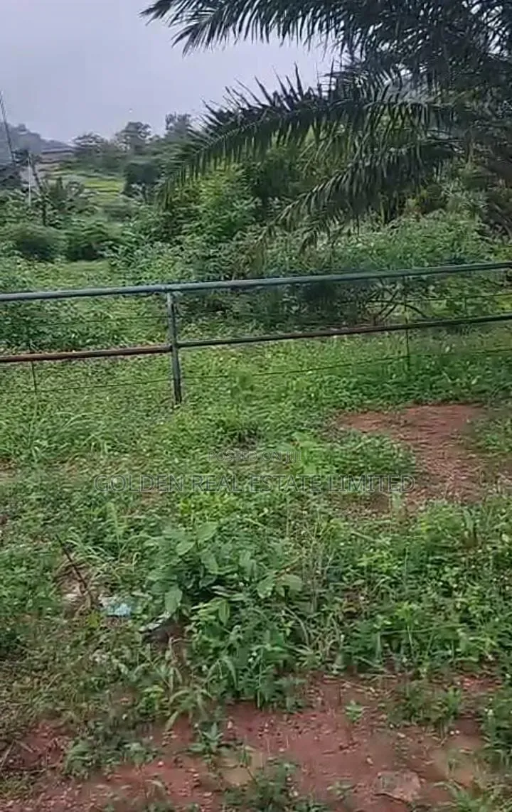 A Petrol Filling Station for Sale on 4 Plots of Land at Ikere EKiti . in Ikere