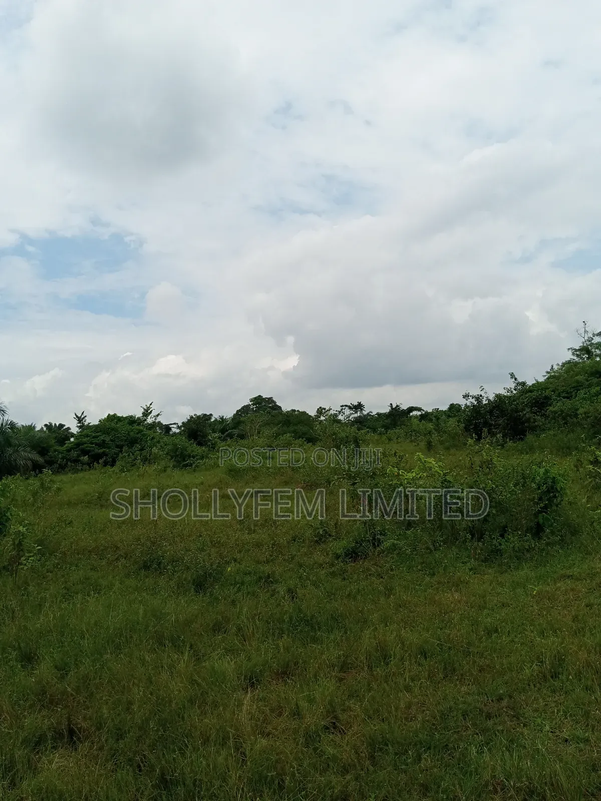 500 Acres of Farm Land for Sale in Ila in Ilaro