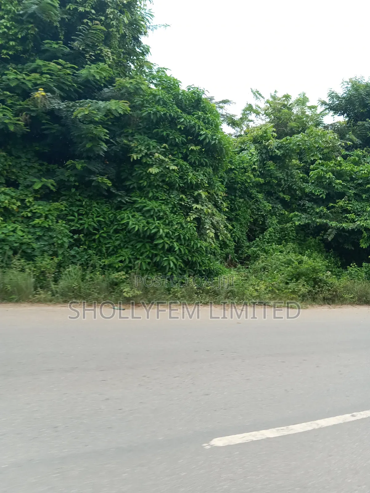 500 Acres of Farm Land for Sale in Ila in Ilaro
