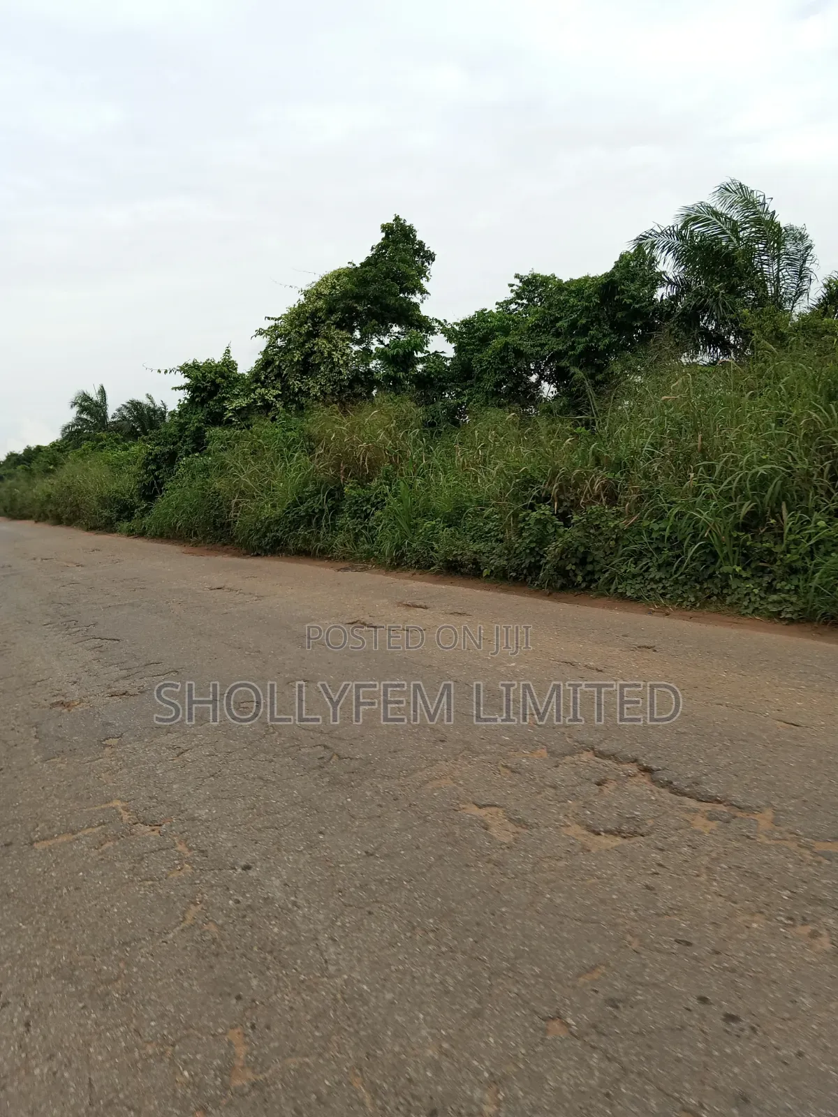 500 Acres of Farm Land for Sale in Ila in Ilaro