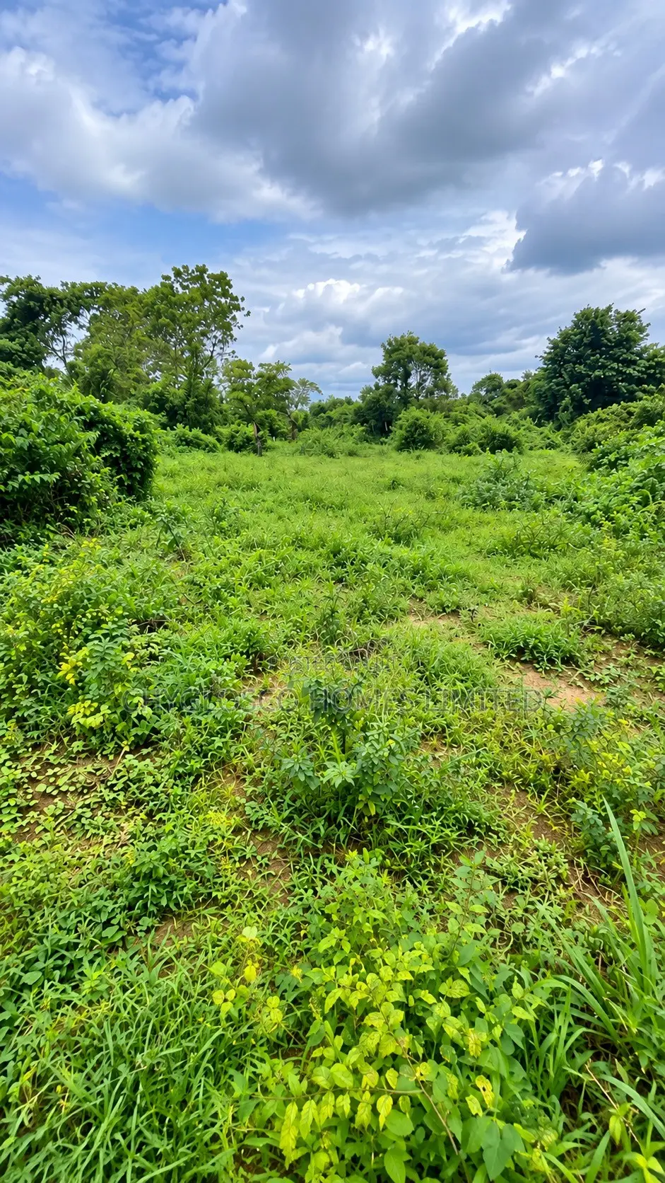 Plots of Land for Sale at Eastlake Gardens Igwuruta Ali Port Harcourt in New Layout