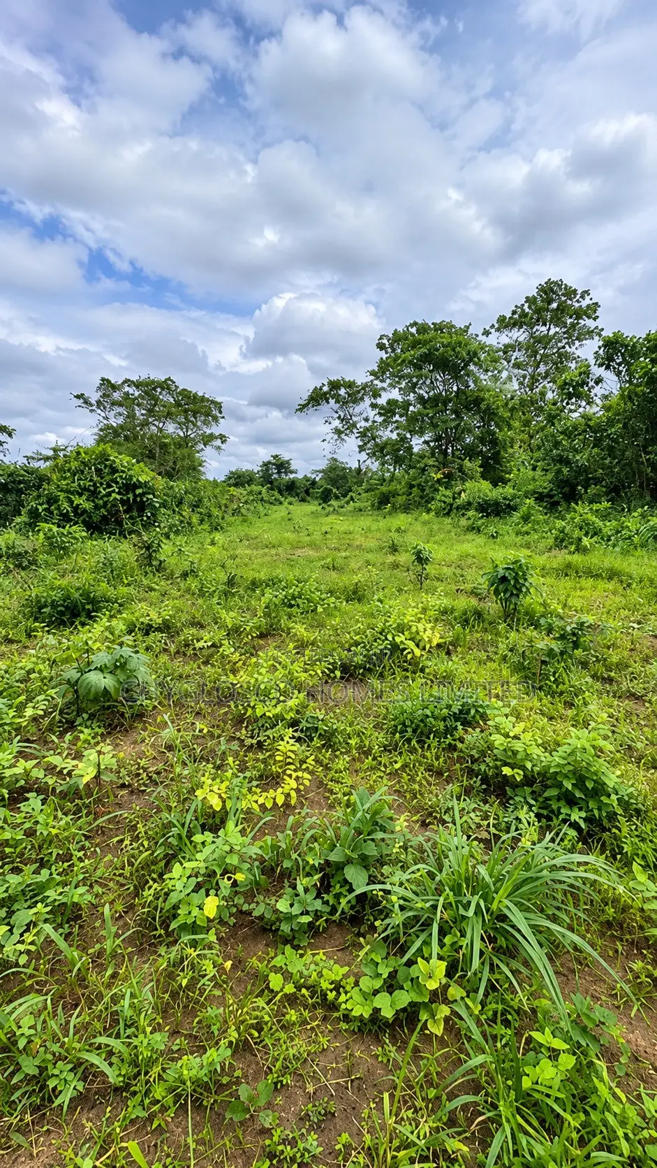 Plots of Land for Sale at Eastlake Gardens Igwuruta Ali Port Harcourt in New Layout