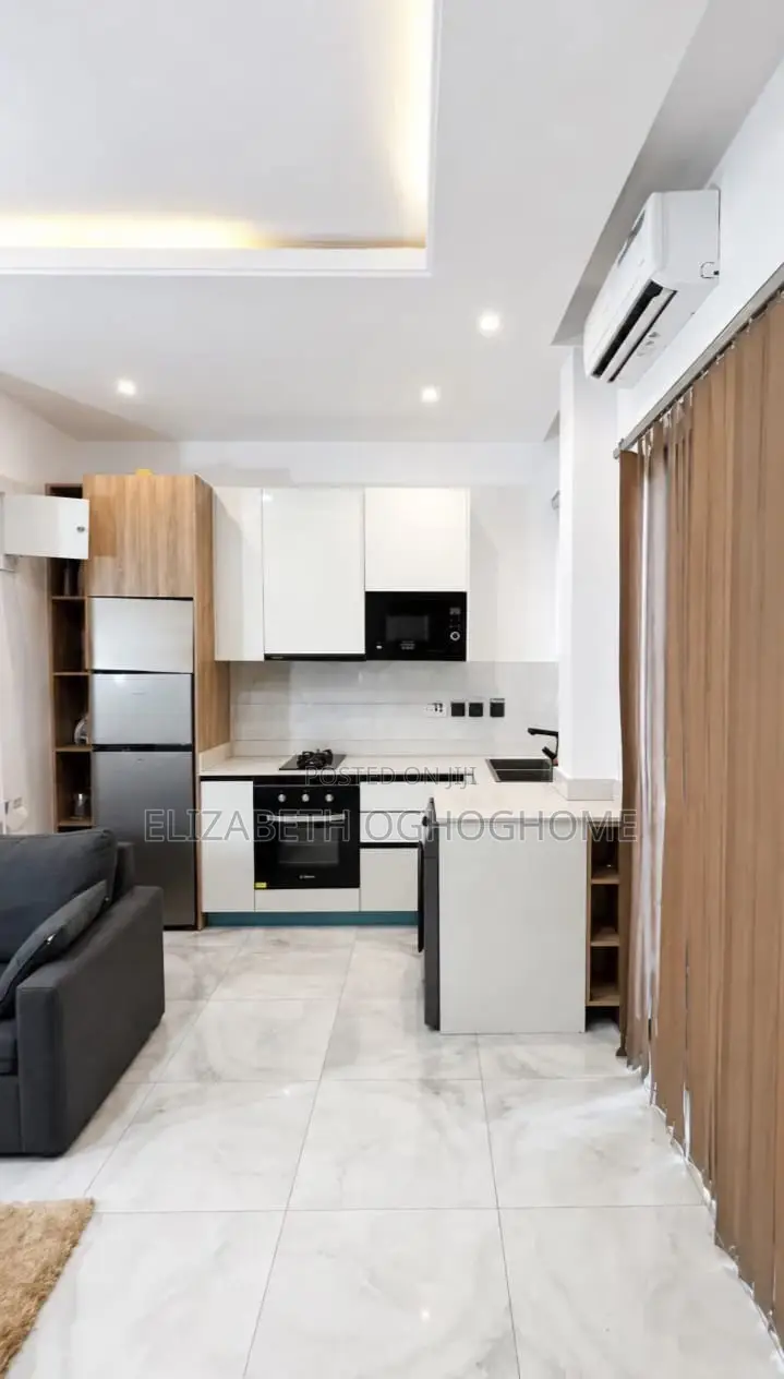 Furnished Mini Flat in Lekki Phase 1 for rent in Lekki Phase 1