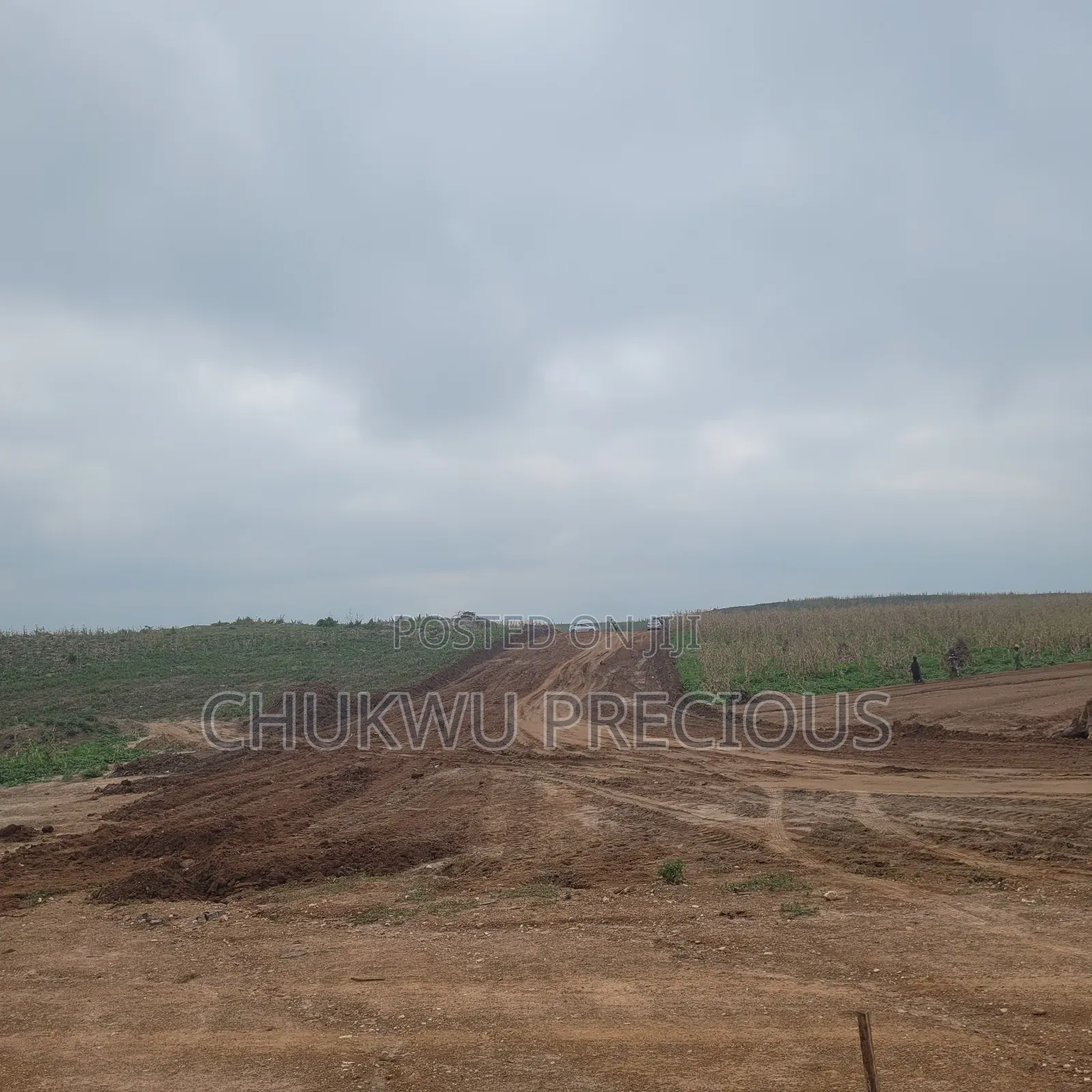 Sunrise Manor Hectare Outlay in Wasa