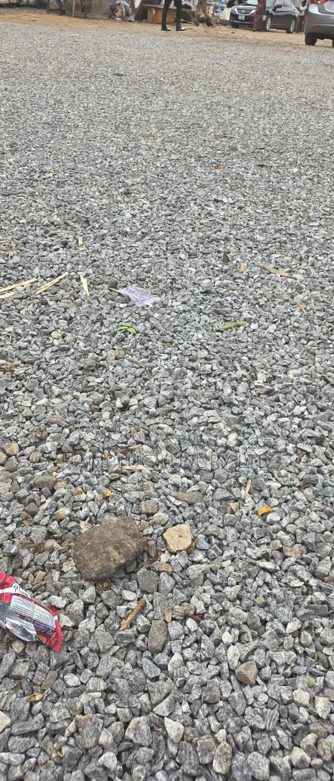 Mixed Land in Katampe Extension