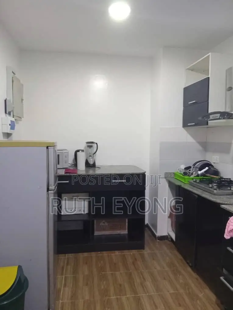 Furnished 3bdrm Apartment in Lekki Phase 1 for rent in Lekki Phase 1