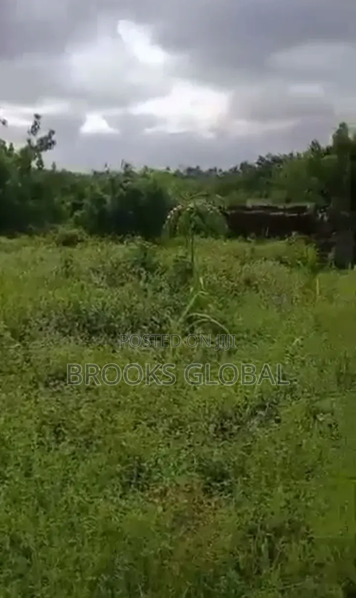 Flat Land of 100/100 Feet Ugbomro Close to U2 Hotel for Sale in Uvwie
