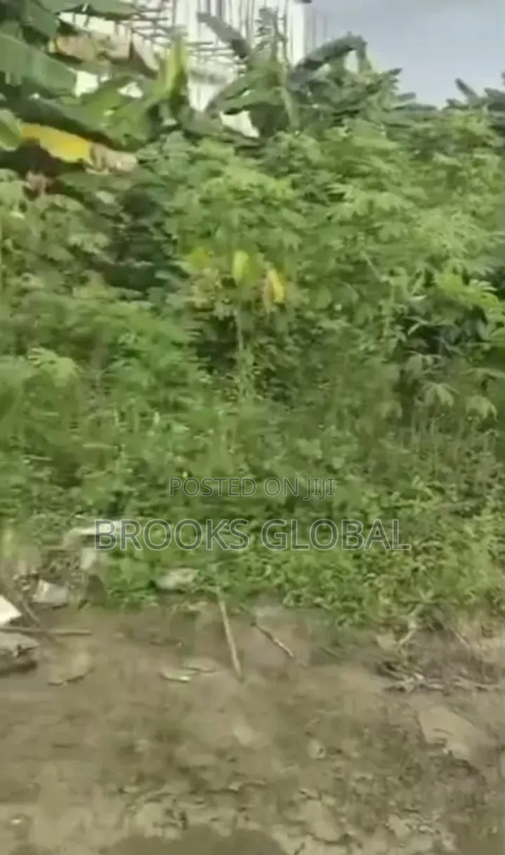 Sharp Land of 50/100 Feet at Lucky London Osubi for Sale in Warri