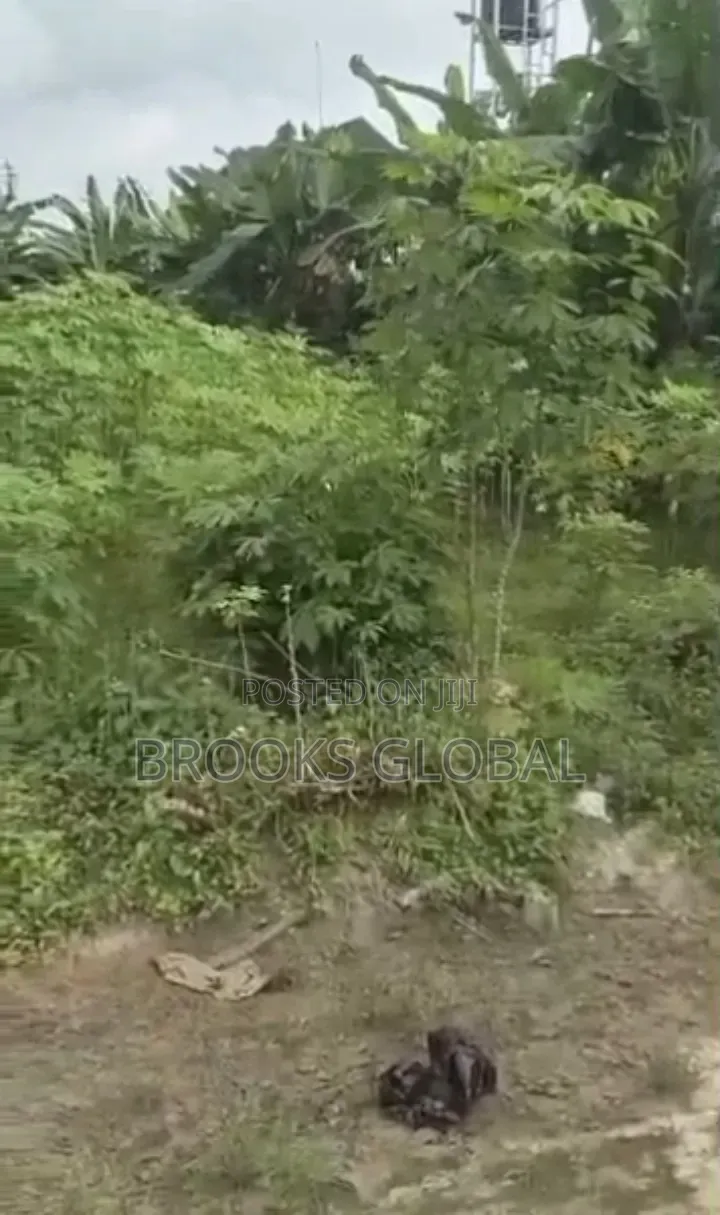 Sharp Land of 50/100 Feet at Lucky London Osubi for Sale in Warri