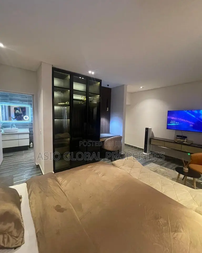 Spacious and Luxurious Studio Apartment in Yaba in Onike