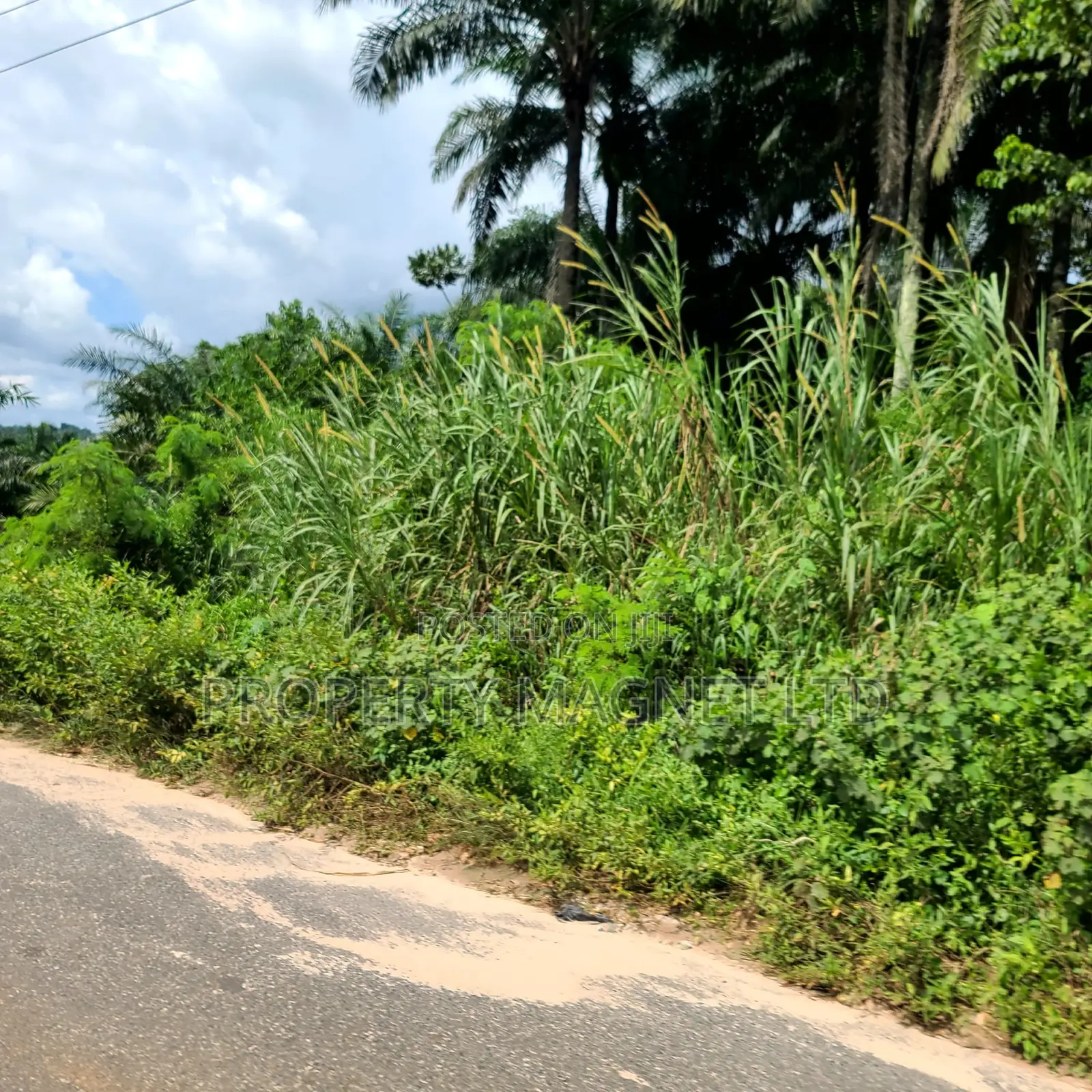 6 Plots for Sale at UMUAHIA EXPRESSWAY in Umuahia