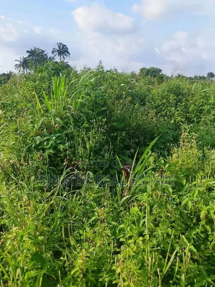 2Hectares of Land for Sale by Idu Uruan Ibom Hotels. in Uyo