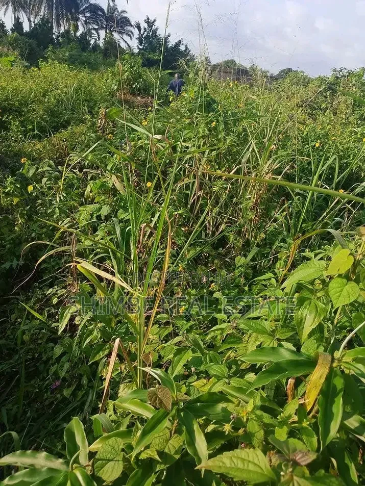 2Hectares of Land for Sale by Idu Uruan Ibom Hotels. in Uyo
