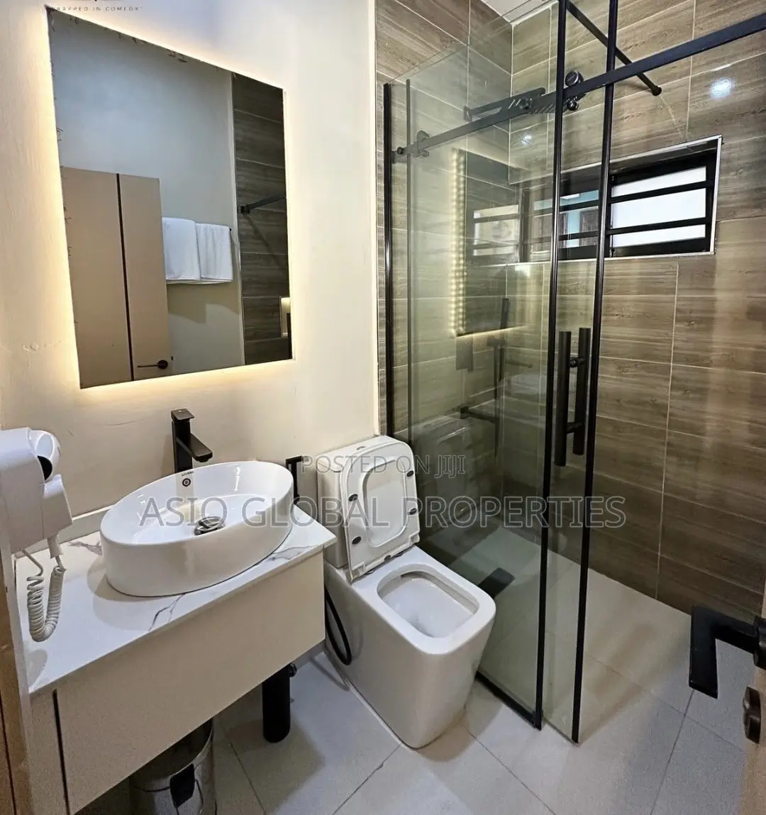 Spacious and Luxurious Studio Apartment in Ikeja in Ikeja