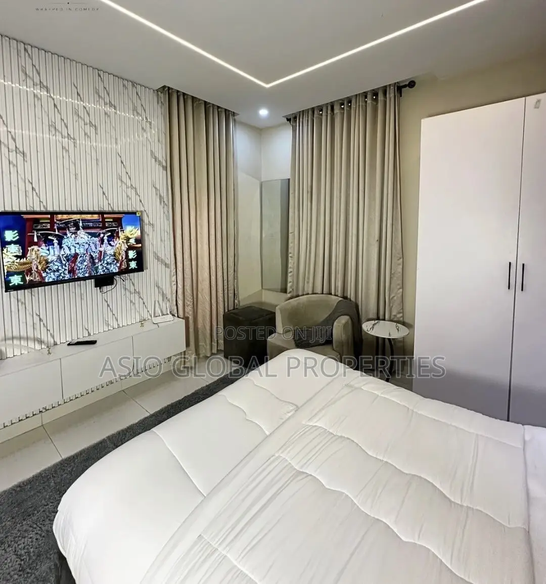 Spacious and Luxurious Studio Apartment in Ikeja in Ikeja