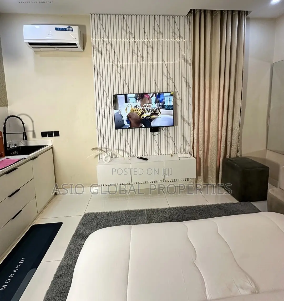 Spacious and Luxurious Studio Apartment in Ikeja in Ikeja