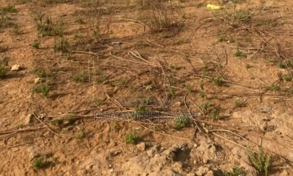1279Sqm Residential Land for Sale in Jahi in Jahi