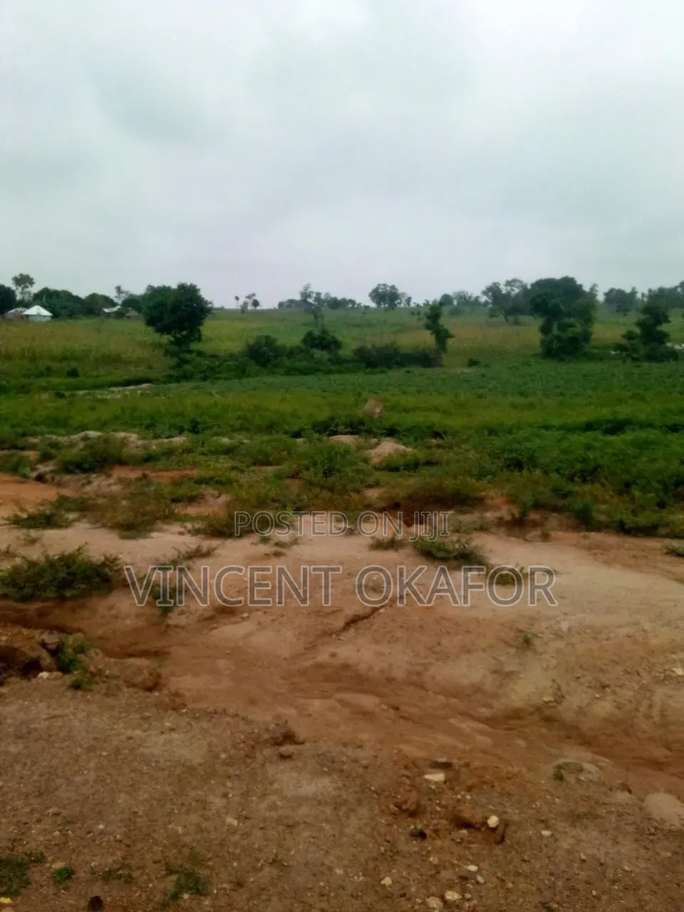 350sqm for 4-Bedroom Fully Detached Duplex in Wasa