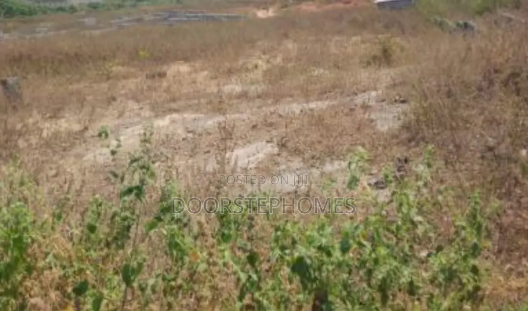 1000Sqm Residential Land for Sale in Jahi in Jahi