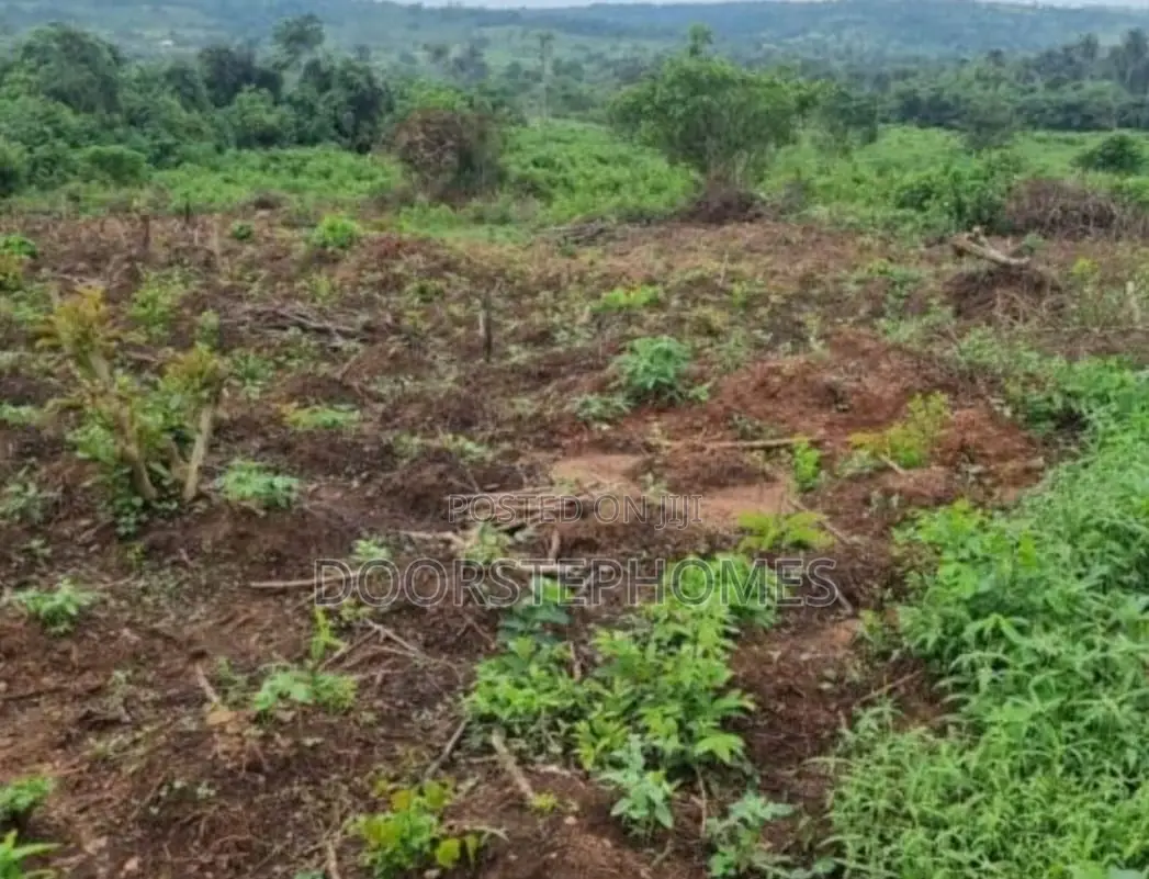 1868Sqm Residential Land for Sale in Kyami in Kiami