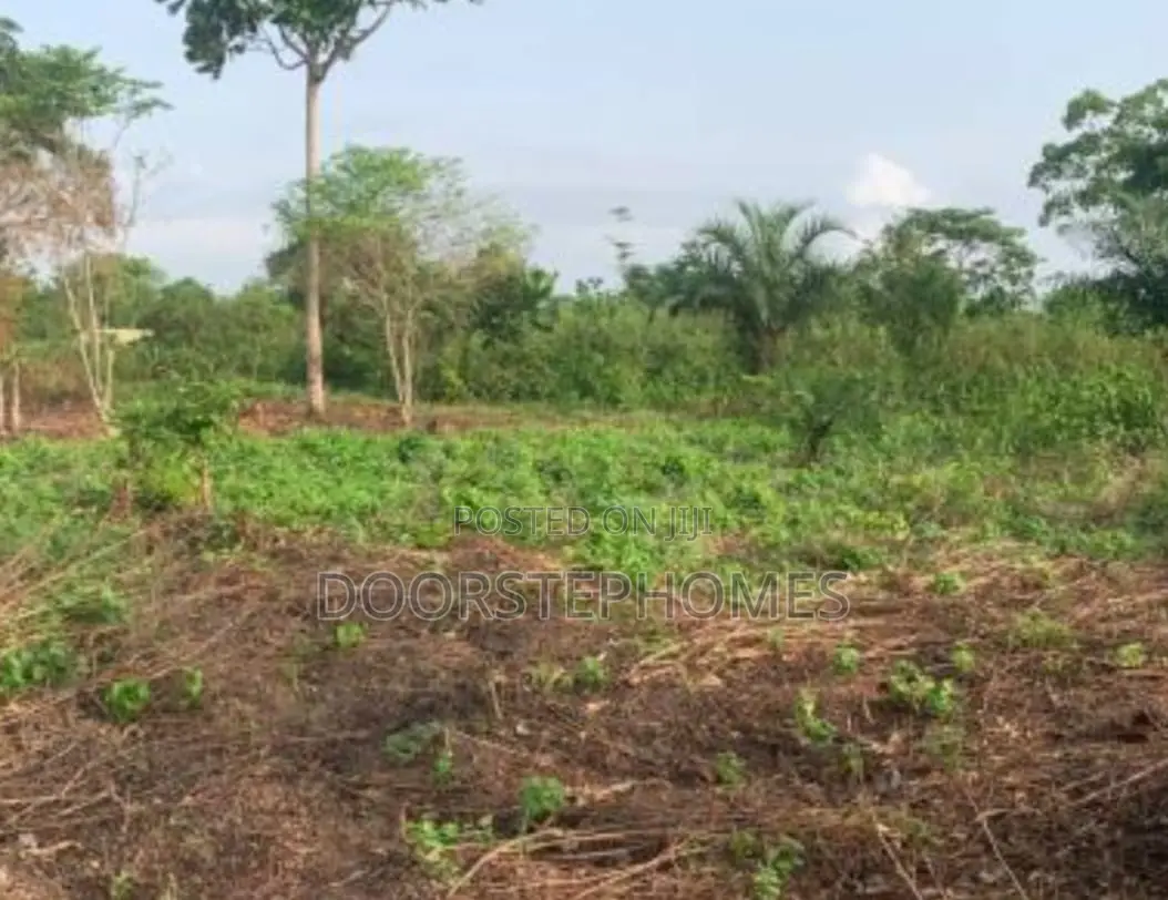 1868Sqm Residential Land for Sale in Kyami in Kiami