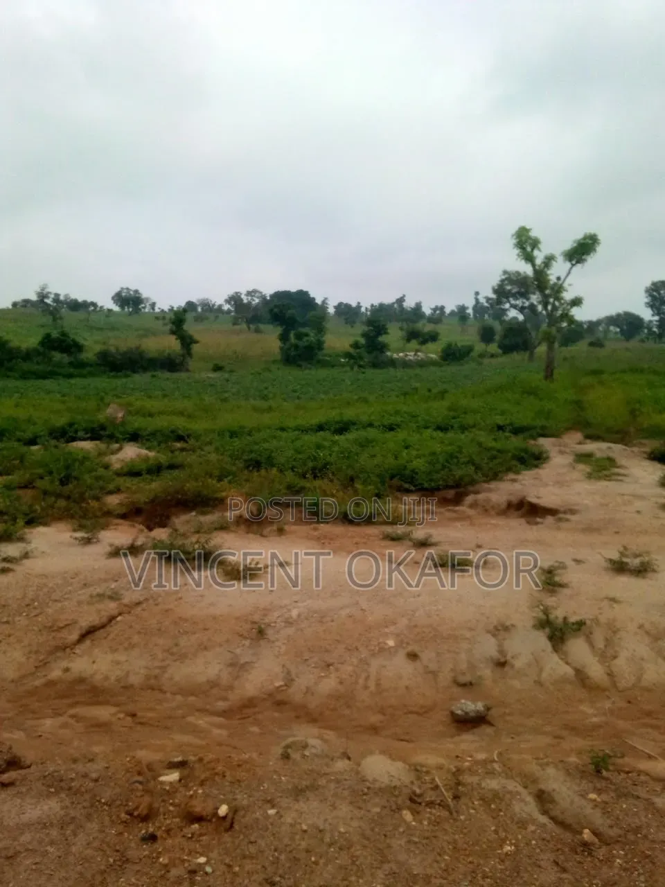 450sqm for 5 Bedroom Fully Detached Duplex in Wasa
