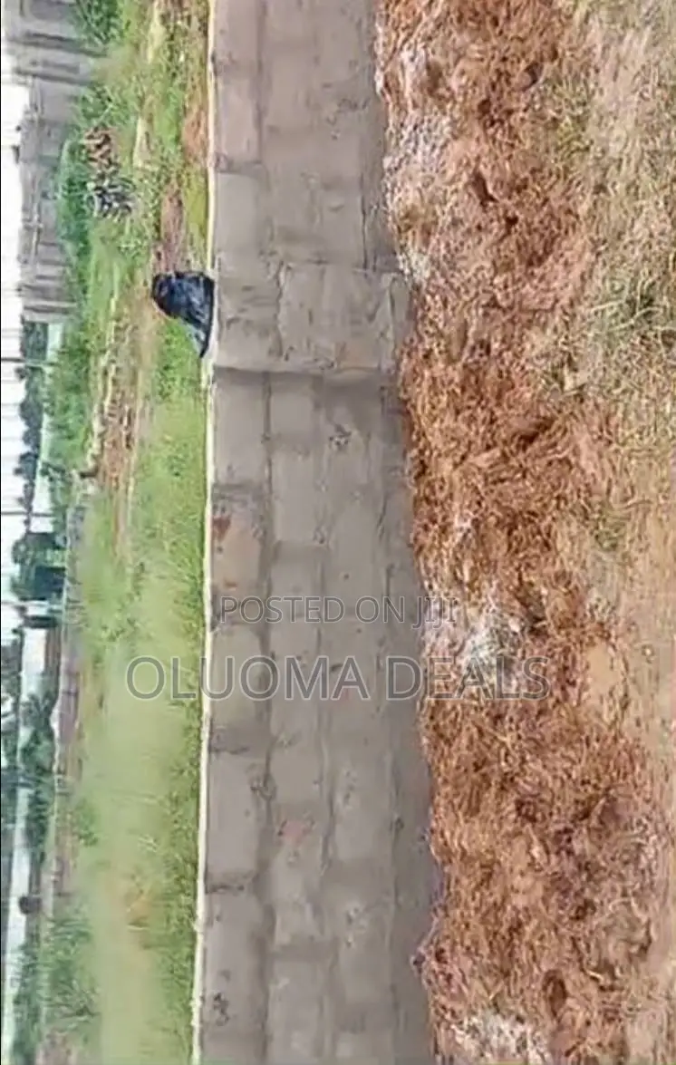 Certificate of Occupancy in Ohaji/Egbema