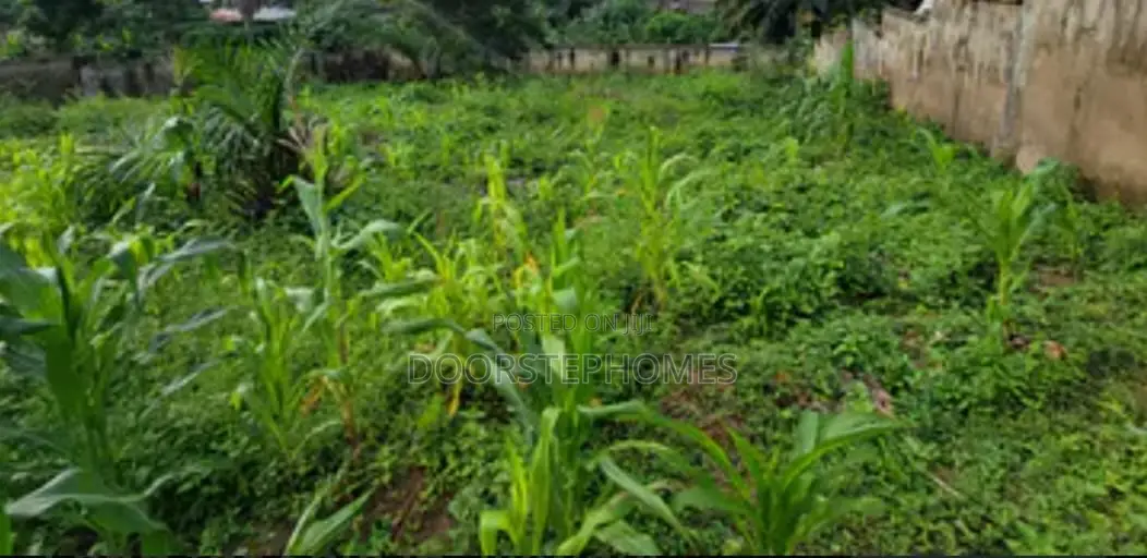 1781Sqm Residential Land for Sale in Wuye in Wuye