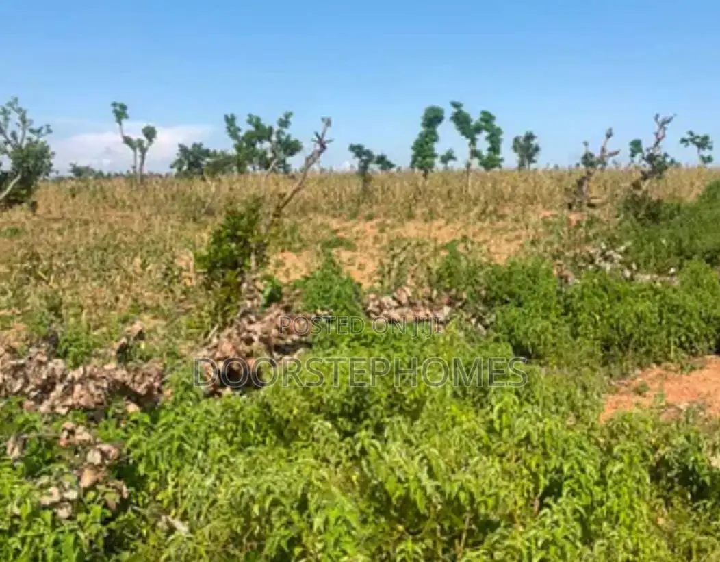 2704Sqm Residential Land for Sale in Katampe in Katampe (Main)