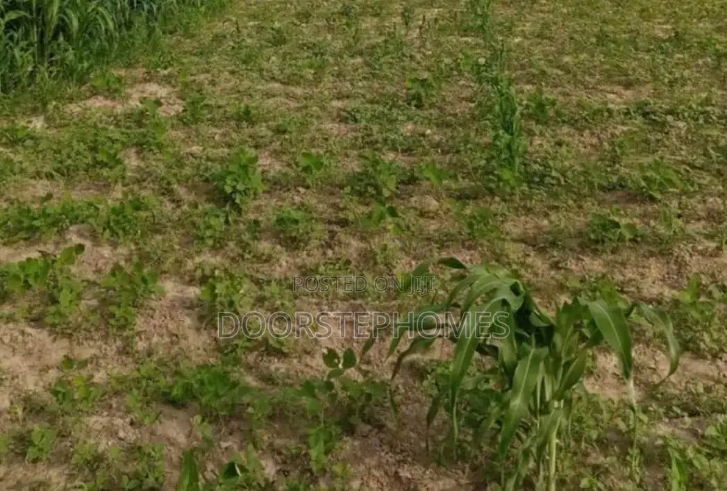 1315.13Sqm Residential Land for Sale in Asokoro in Asokoro