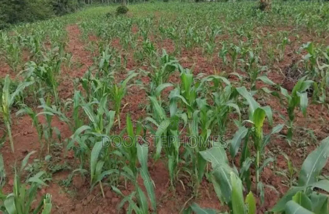1315.13Sqm Residential Land for Sale in Asokoro in Asokoro
