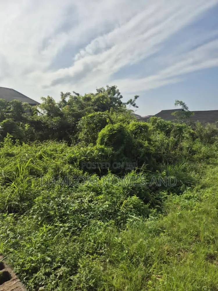 Standard Plot of Land for Sale - Bako in Apata