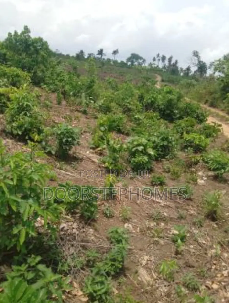 5216Sqm Commercial Land for Sale in Kado in Kado