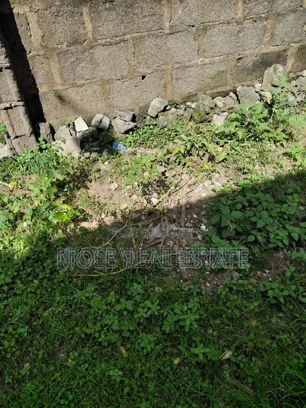 6000sqm Plot CBD Alausa Ikeja Lagos in Alausa