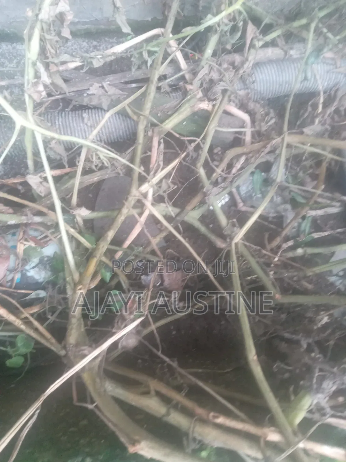 2700 Square Meters Land at Jahi Abuja for Sale in Jahi