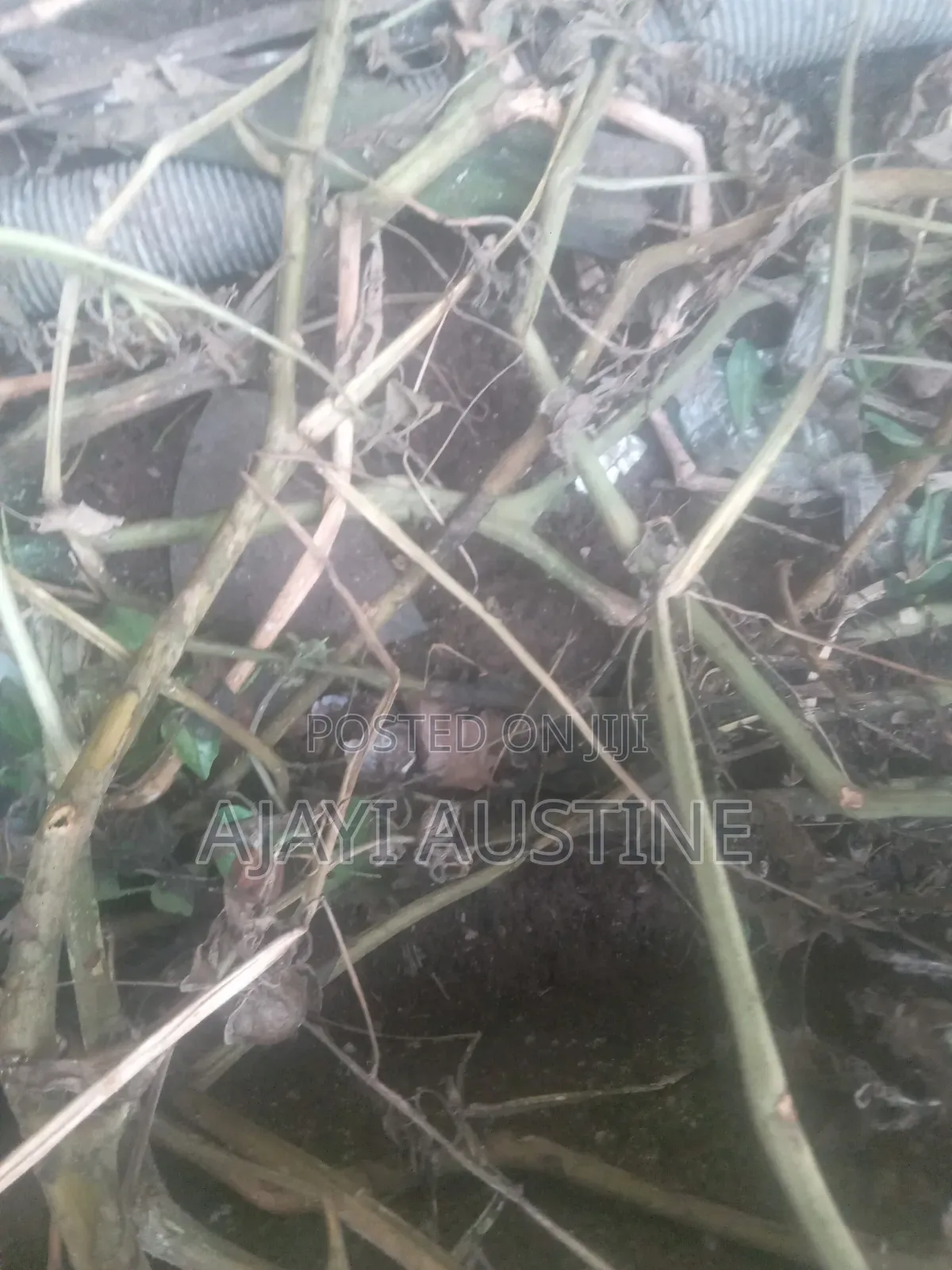 2700 Square Meters Land at Jahi Abuja for Sale in Jahi