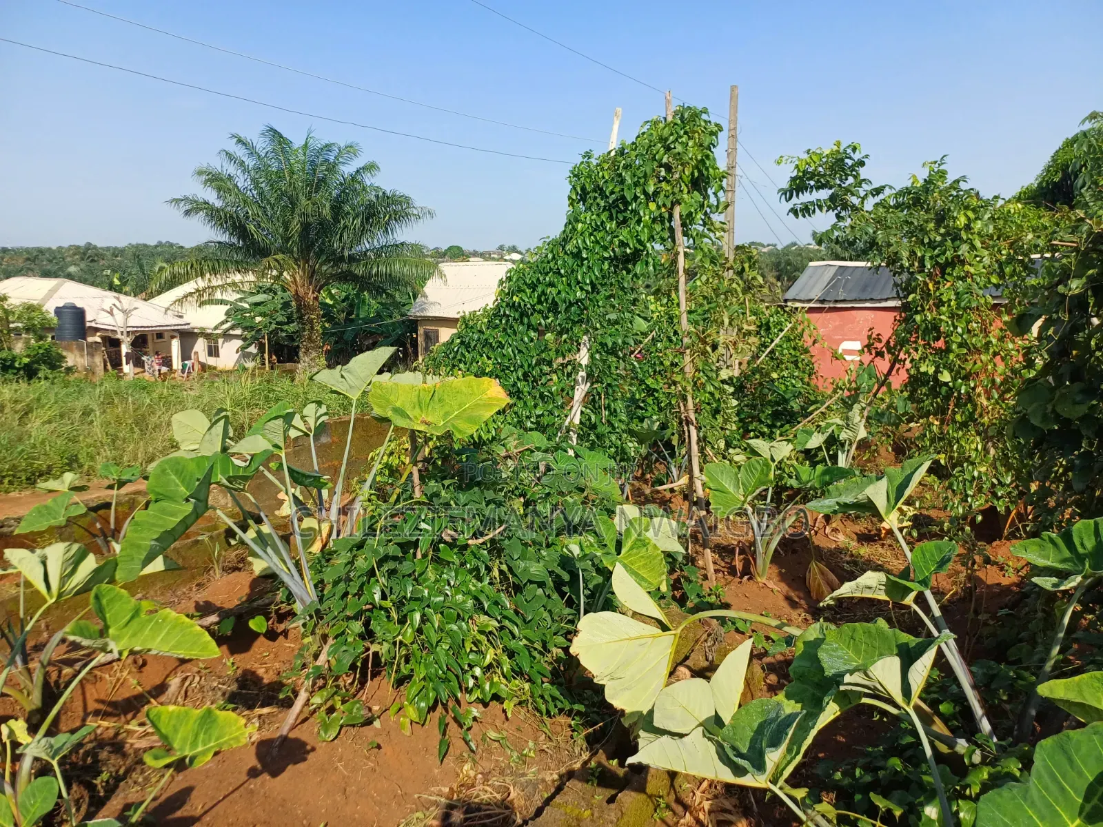 Dry Buy & Build 60x120ft Plot in Adamo, Ikorodu - Survey & Deed in Adamo