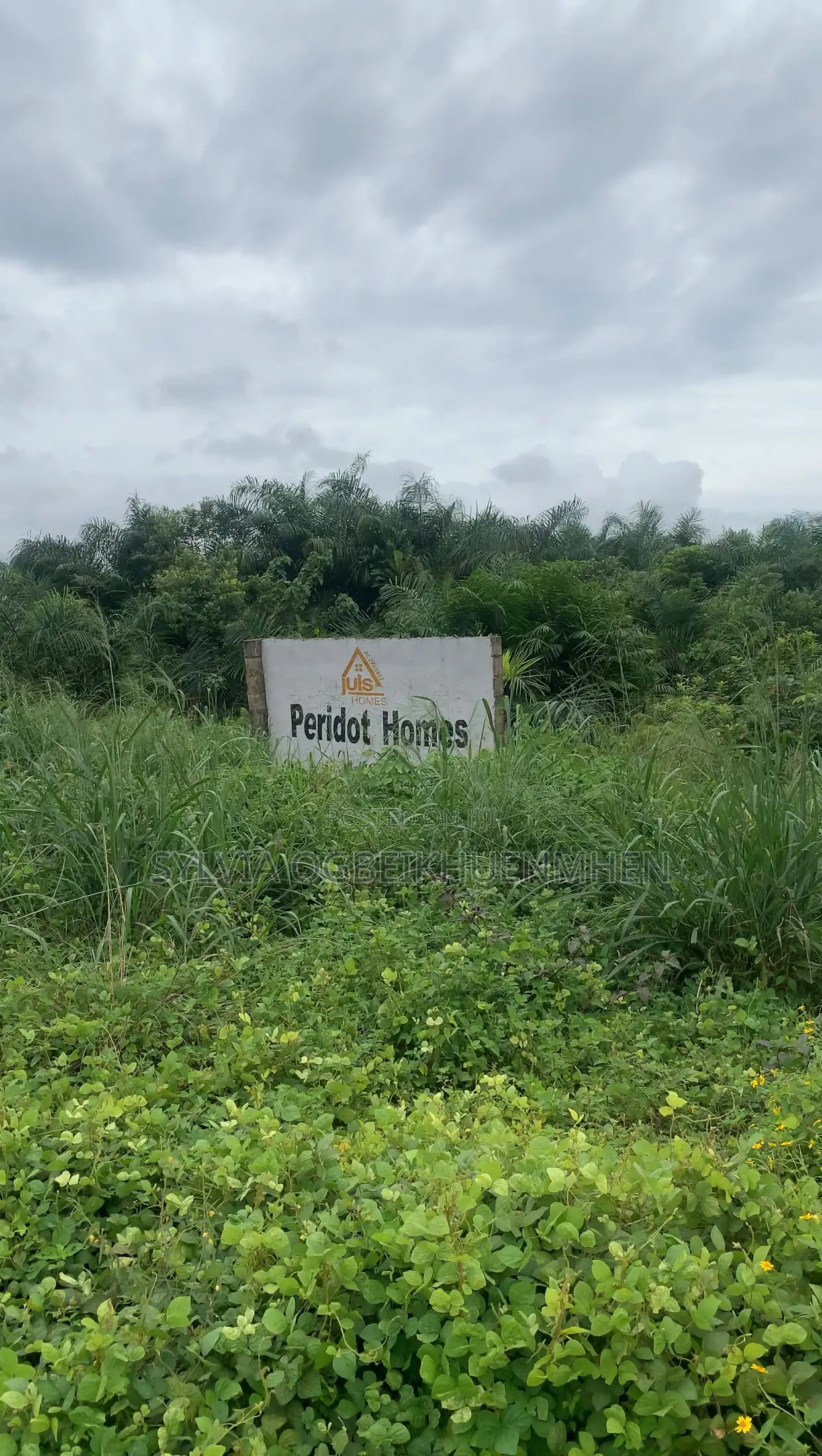 Land Facing the Road in Epe for Sale – Epe , Lagos in Epe