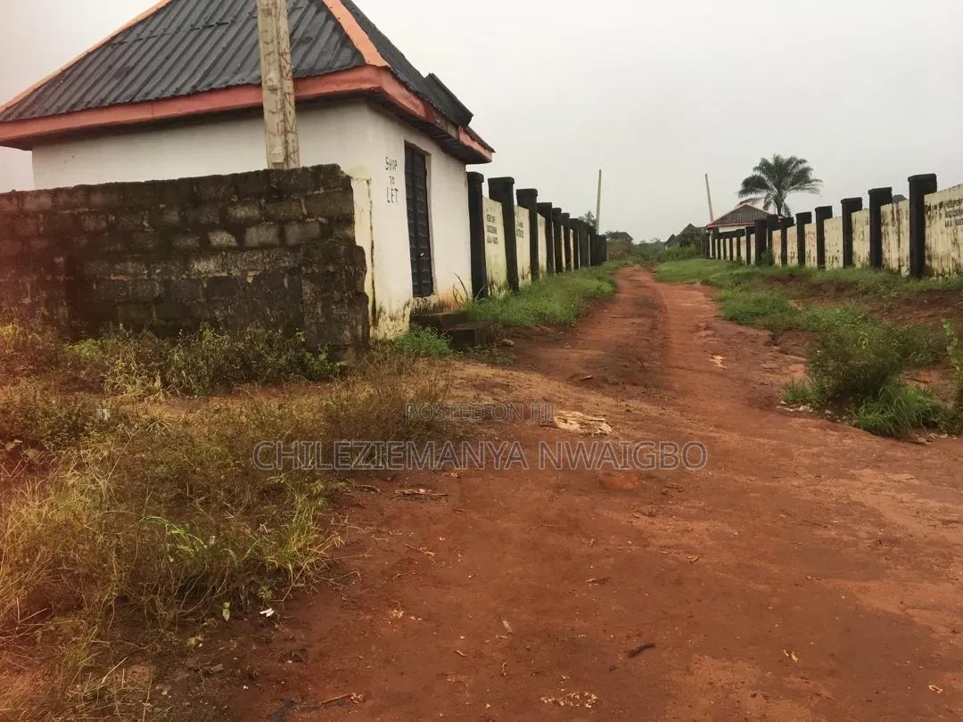 Fenced 2 Plots of Land for Sale in Ibusa Delta State (Survey & Deed) in Oshimili South
