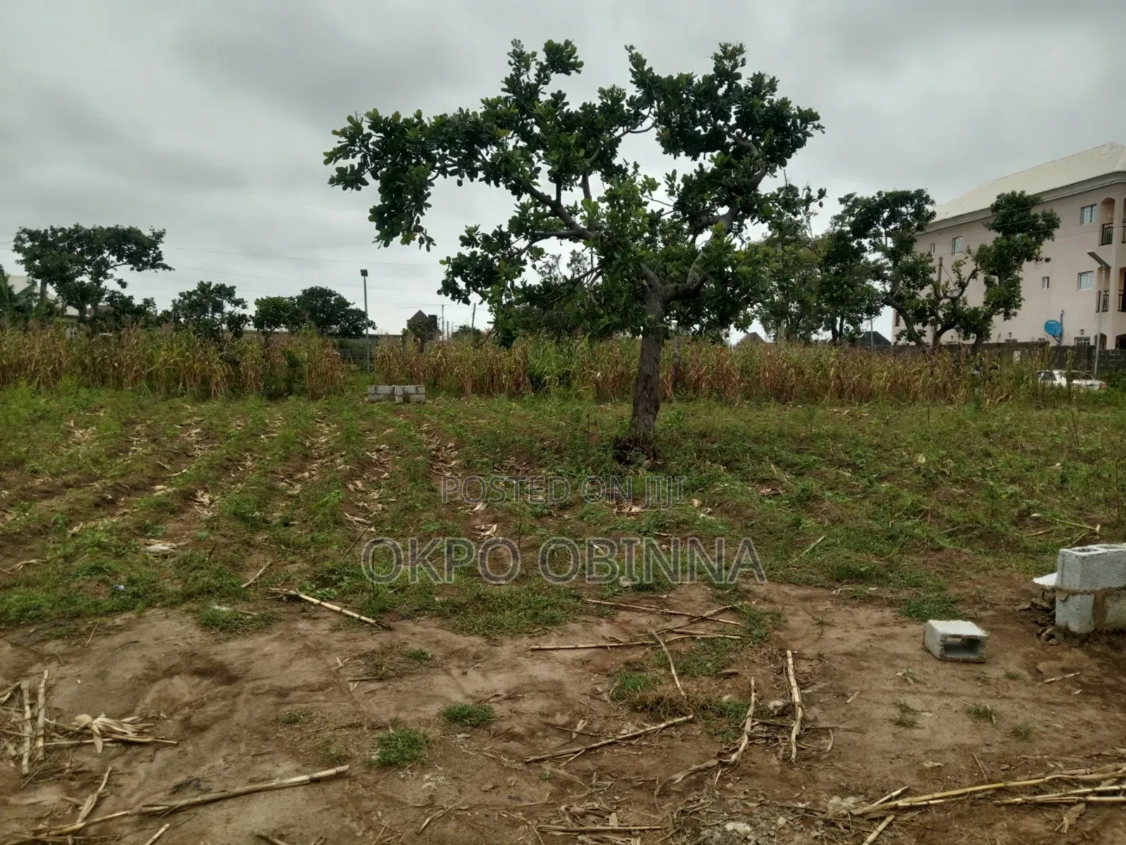 Land for Sale in Giri