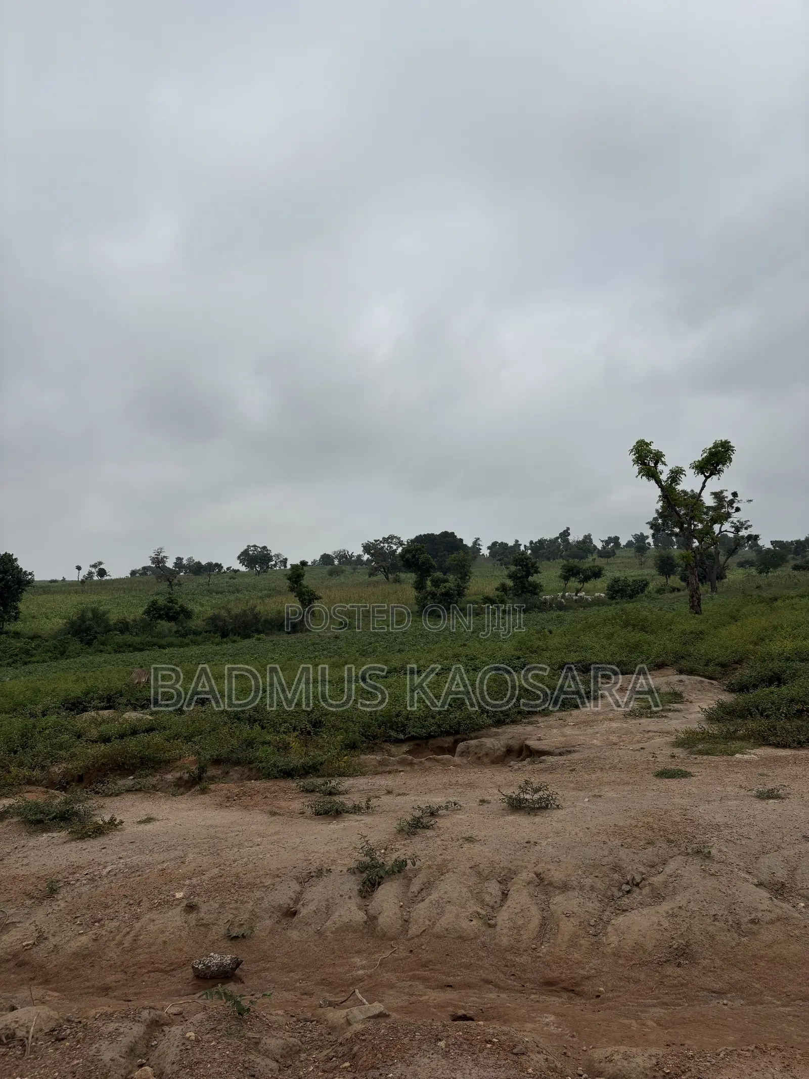 250SQM Estate Land for 4 Bedroom Semi-Detached Duplex With R of O in Wasa