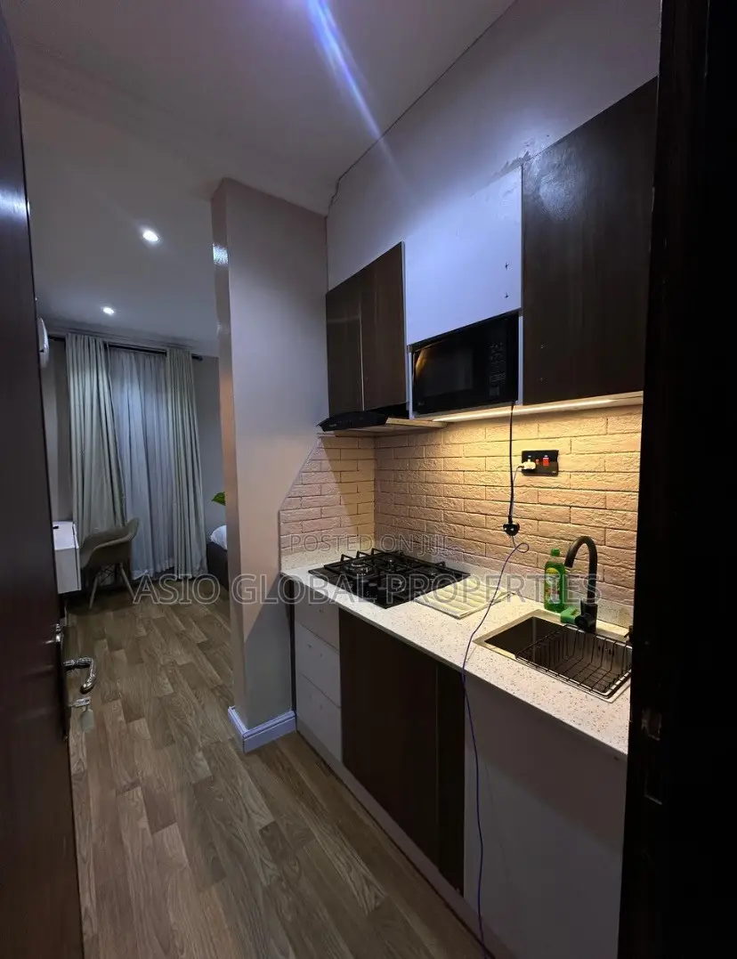 Modern and Spacious Studio Apartment With Pool in Ikoyi in Ikoyi
