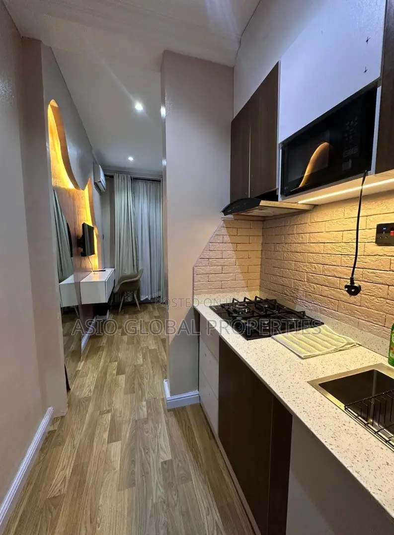 Modern and Spacious Studio Apartment With Pool in Ikoyi in Ikoyi