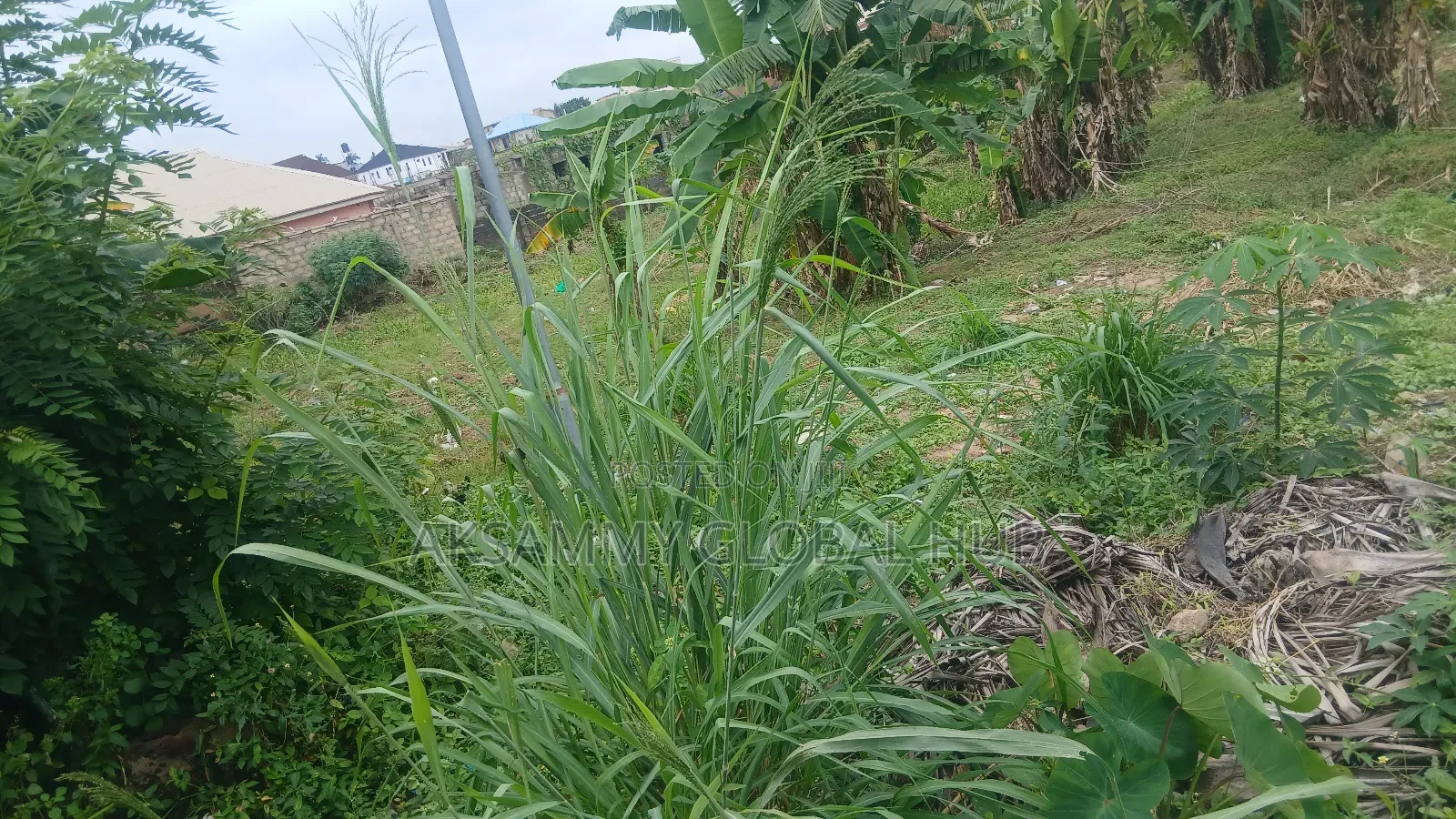 3 Plot of Land at Ashi Bodija in Ibadan