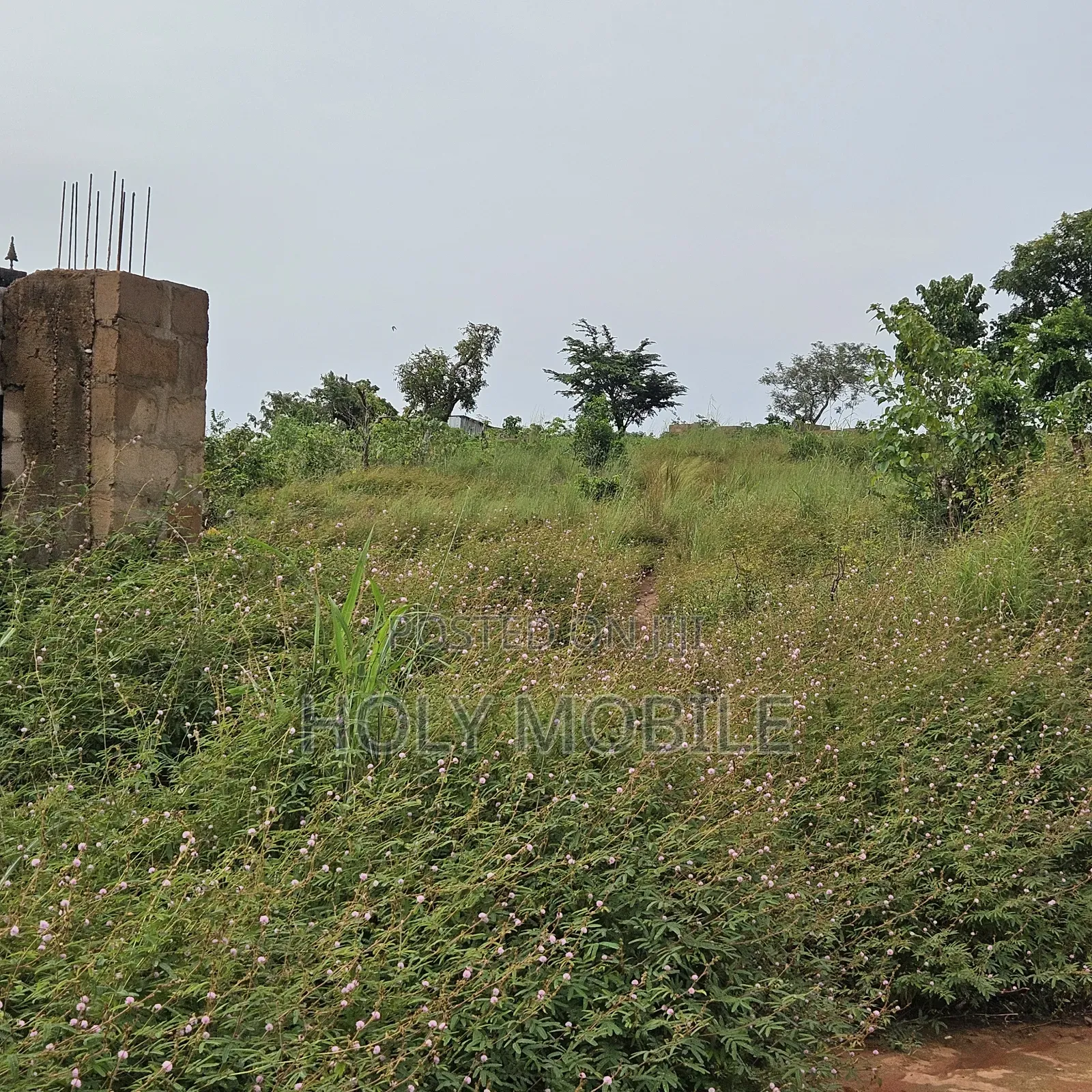 1 Plot of Land at Opposite Kanu Nwankwo Estate in Enugu