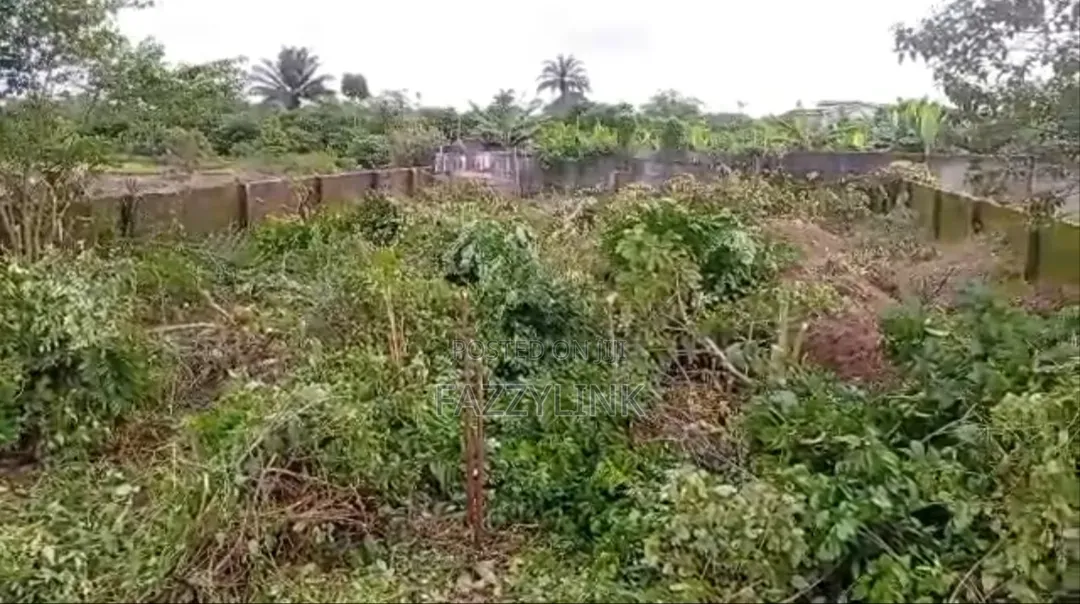 Cornish 1 Plot of Land for Sale at Airport Road Ph Rivers State in Rukpokwu