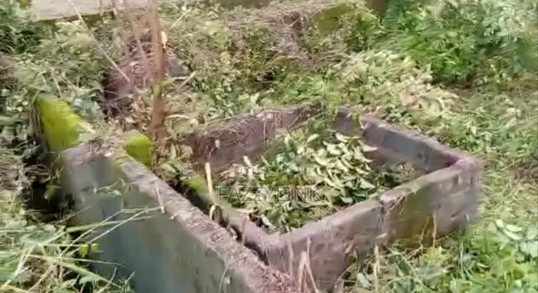 Cornish 1 Plot of Land for Sale at Airport Road Ph Rivers State in Rukpokwu