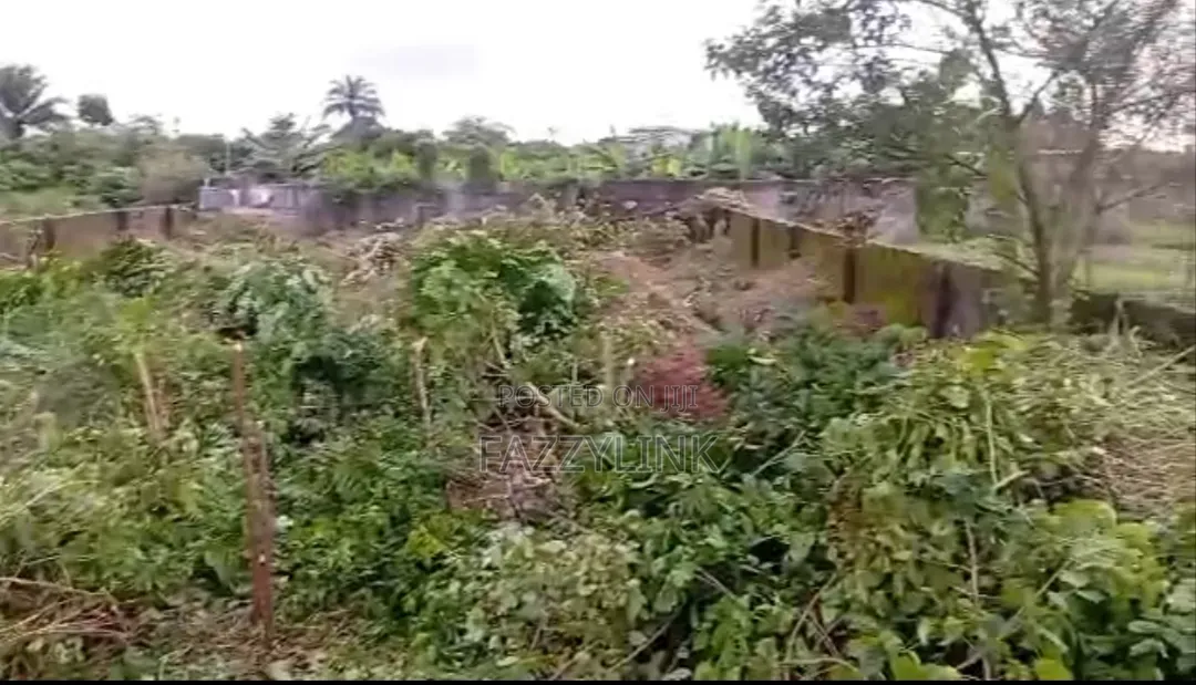 Cornish 1 Plot of Land for Sale at Airport Road Ph Rivers State in Rukpokwu