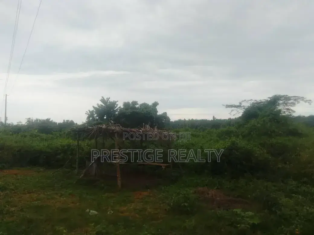 27 Acres of Land for Sale at Lagun, Ibadan in Iwo Road